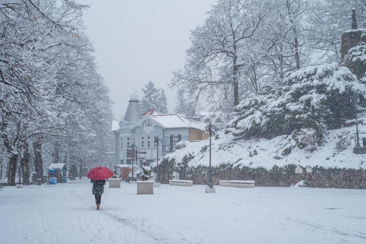 Vila Emilia Vrnjačka Banja 외부 사진